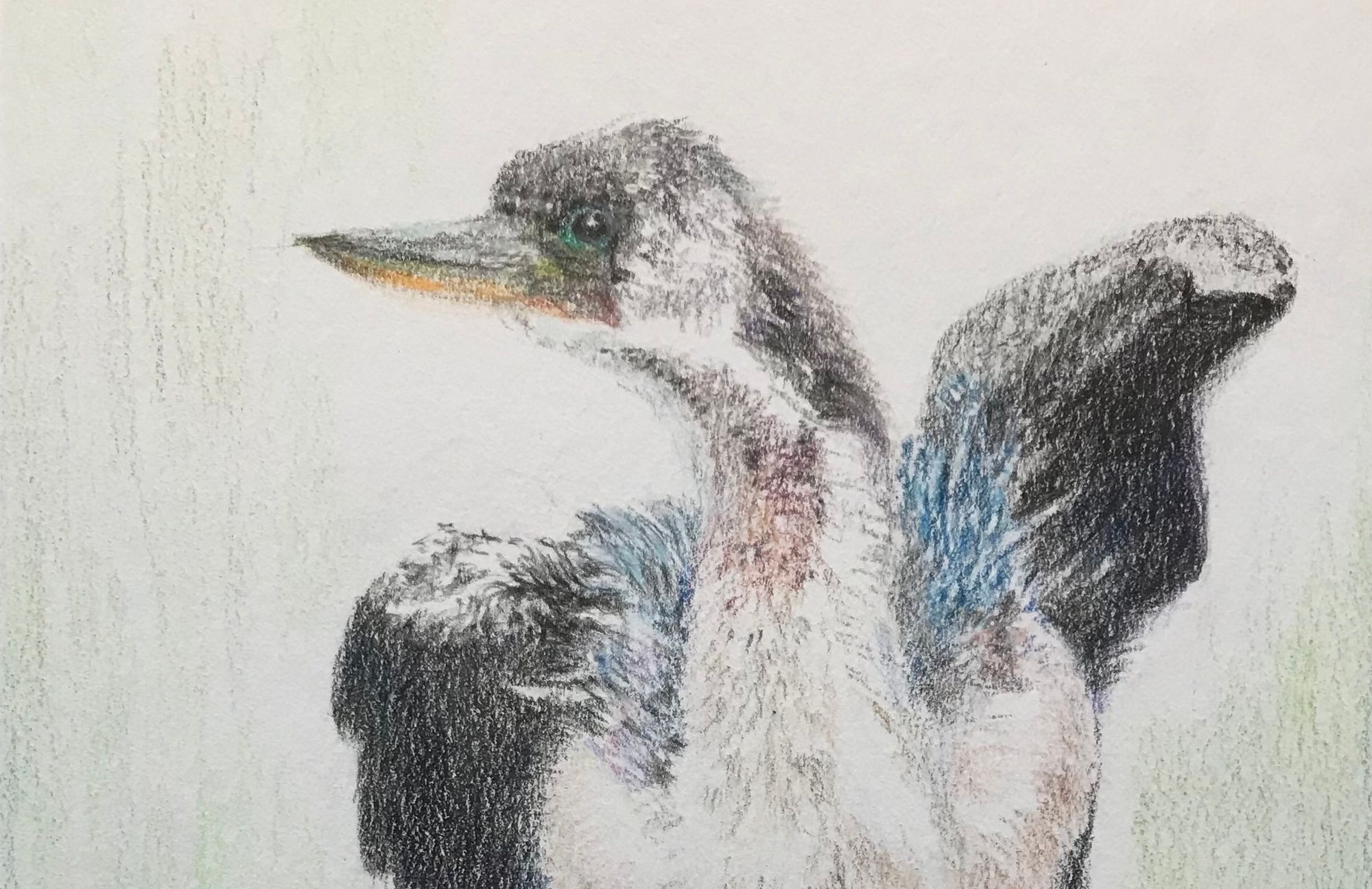 Anhingas