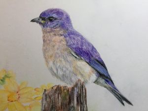 Eastern Bluebird with Flowers