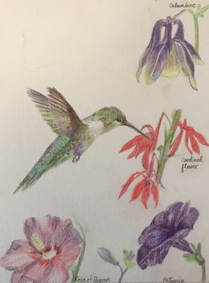 Flowers Hummingbirds Adore