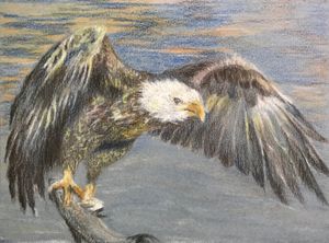 The Fishing Eagle