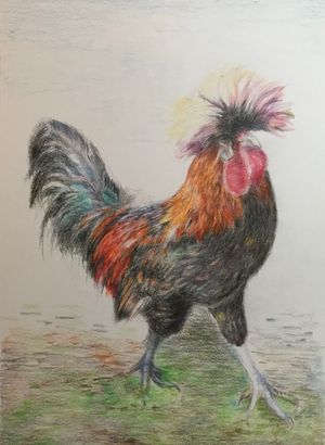 Polish Fowl