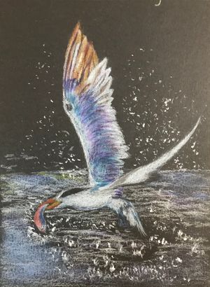 Kingfisher I