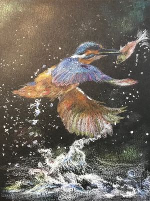 Kingfisher IV