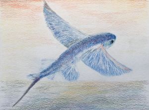 Garnai Fish