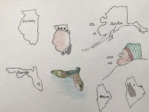 United States of Associations-2